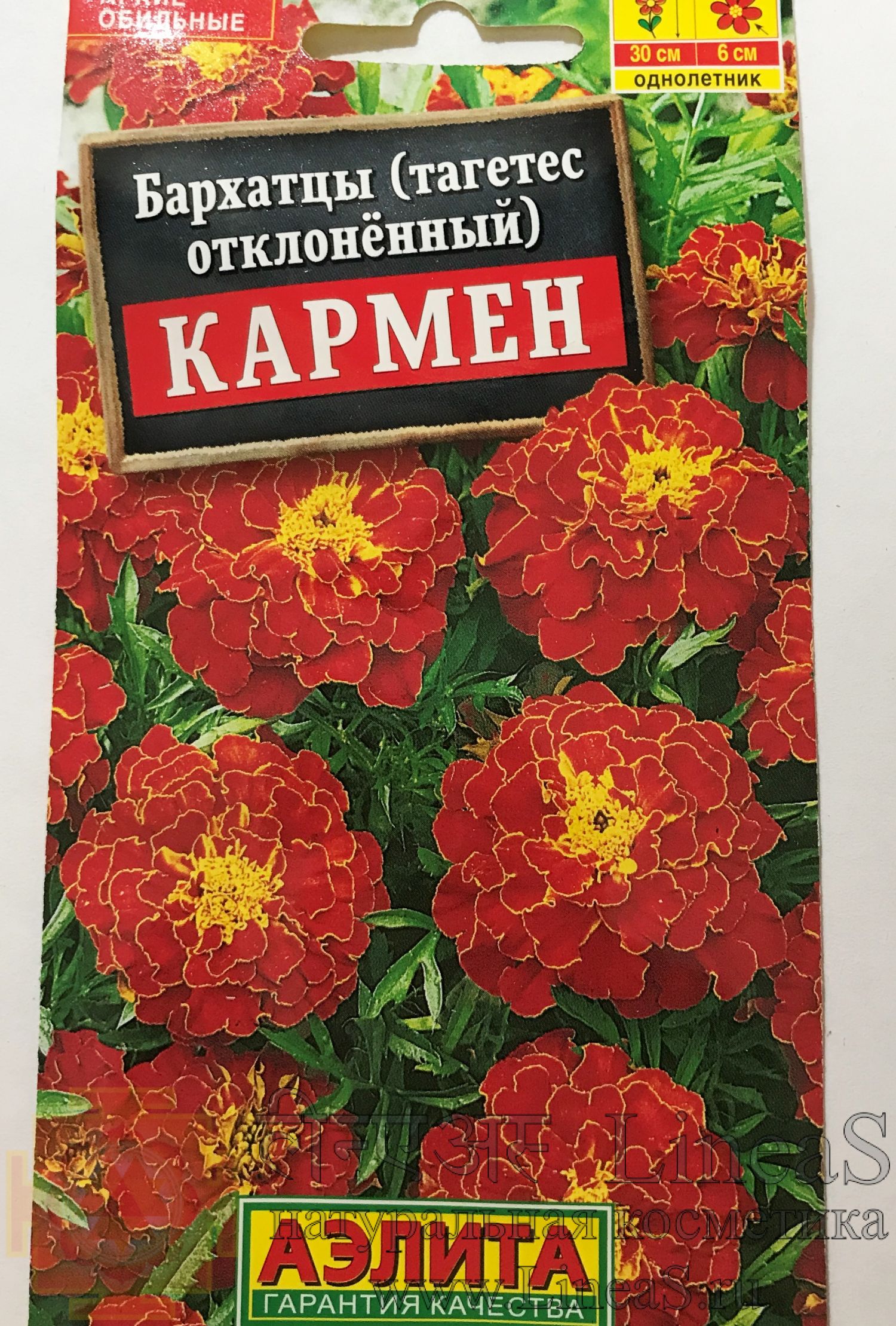 Бархатцы Кармен